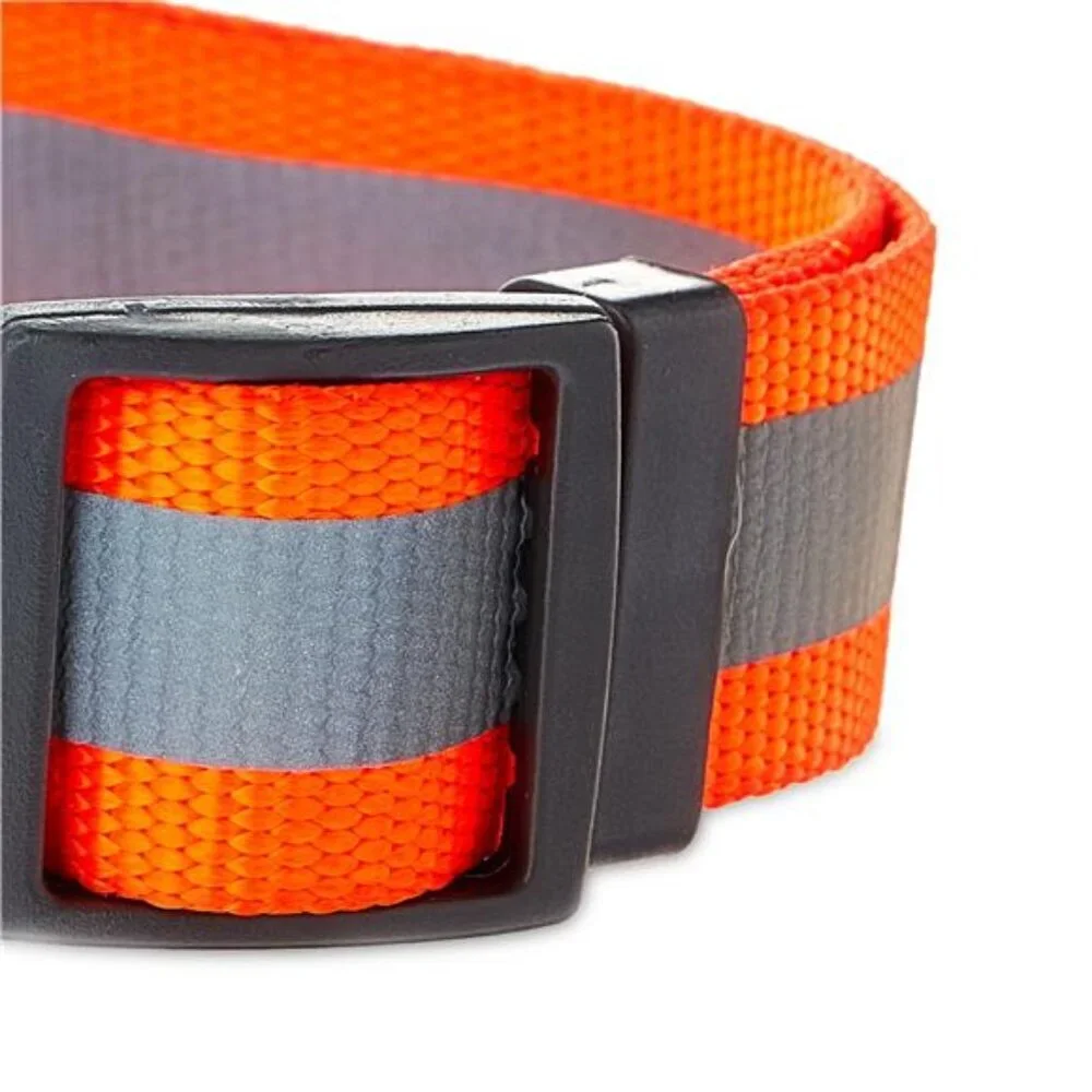 Metal & Nylon Fashion Dog Collar, Orange, Large Size